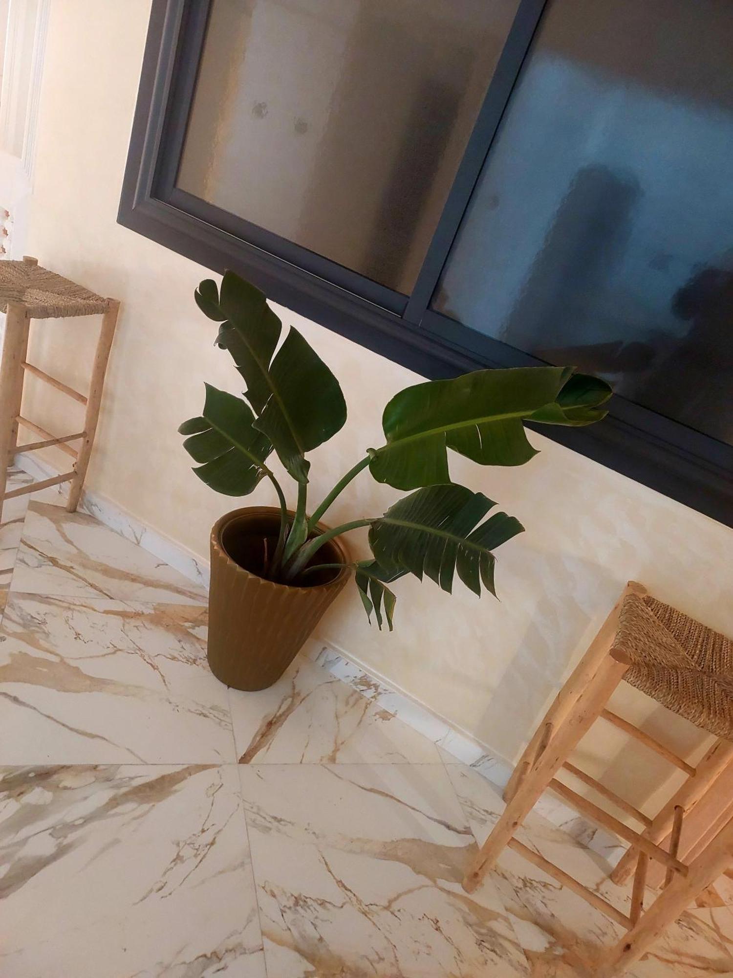 Mogador Appartements T6 エッサウィラ エクステリア 写真