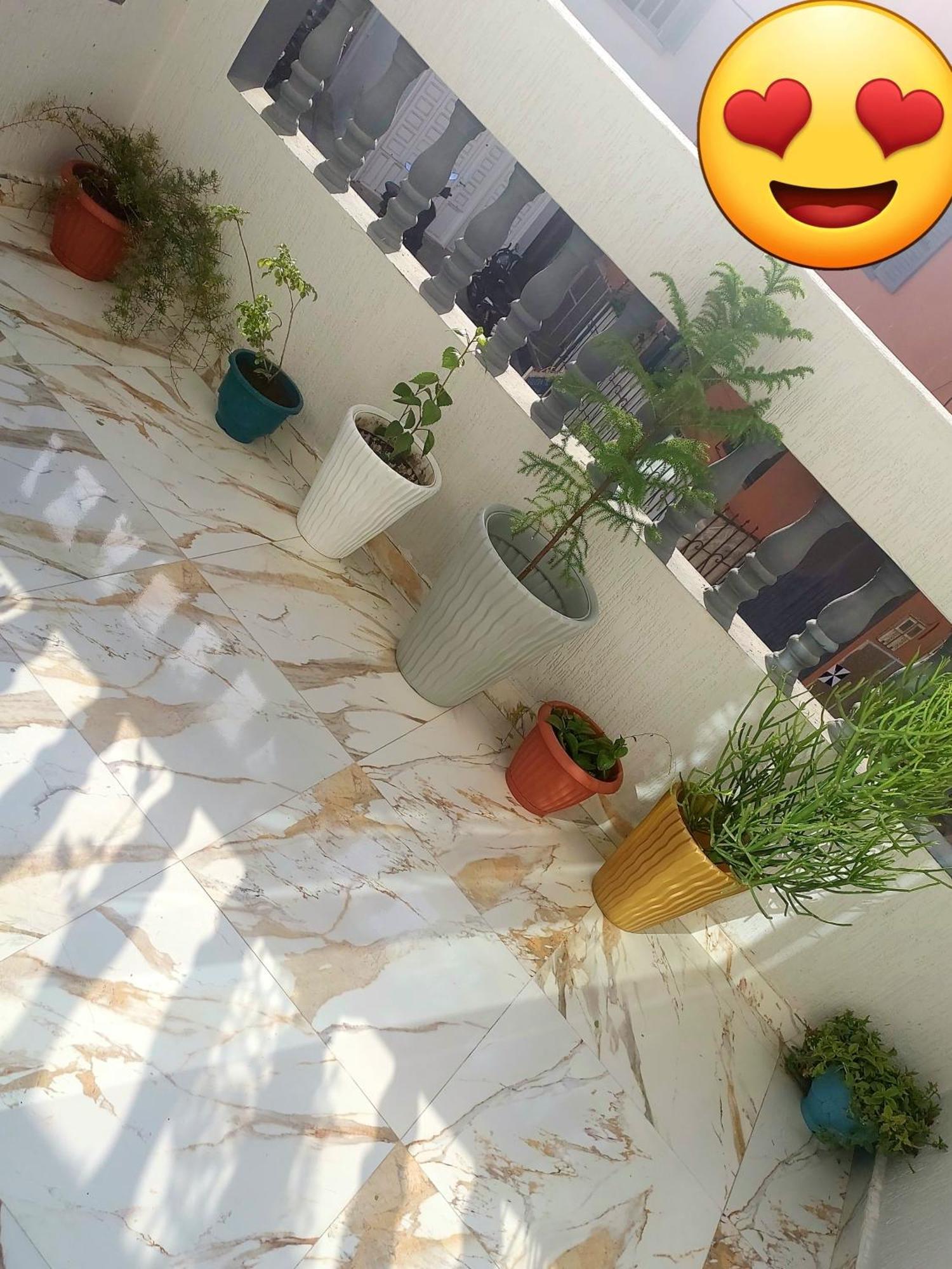 Mogador Appartements T6 エッサウィラ エクステリア 写真
